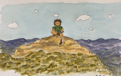 Quarterly Newsletter – December 2025