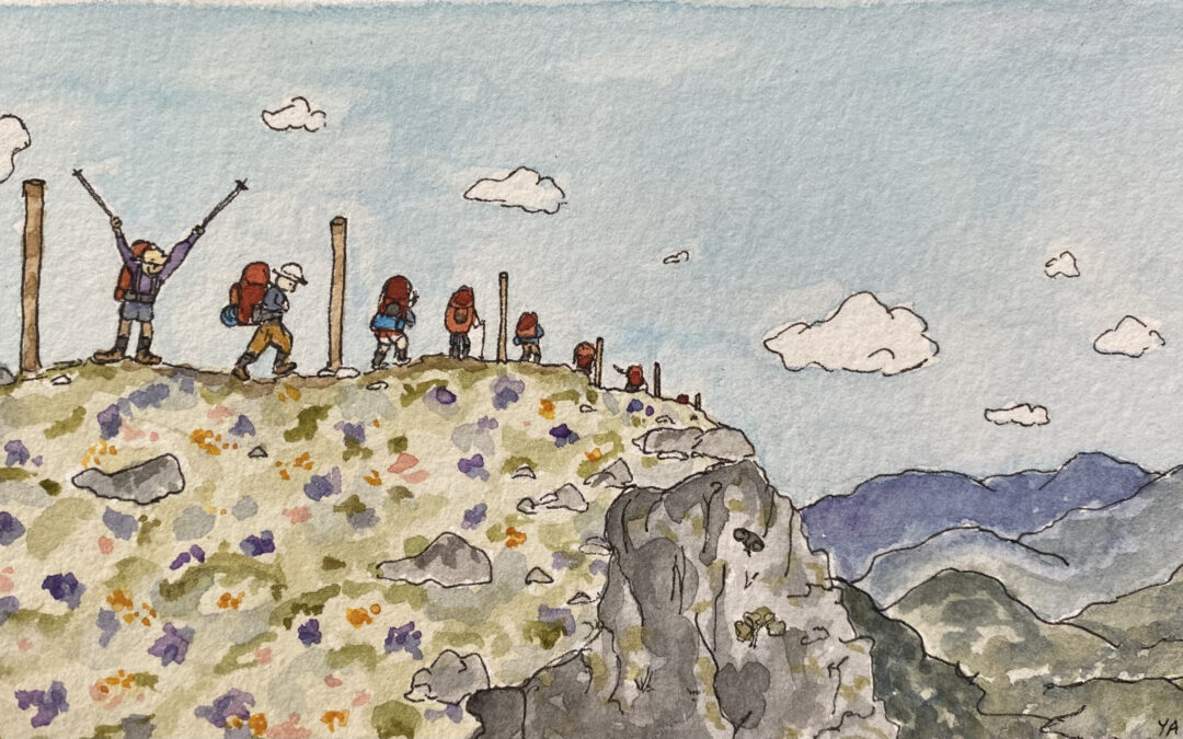 Quarterly Newsletter – July 2026